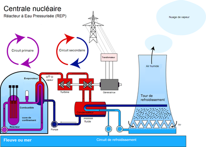 Schéma d'un réacteur à eau pressurisée