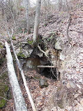 Ancienne mine, 800 mètres au sud-ouest du village. Les gîtes de fer de Vernet (et des gîtes de fluor associés) sont souvent trouvés dans des marbres des formations de l'Édiacarien (plus de 550 Ma). Toutefois, il semble probable que les minéralisations elles-mêmes sont hercyniennes (il y a environ 300 Ma)[15].