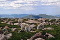 Rocky Mountains