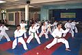 Image 47Karatekas wearing different colored belts (from Karate)