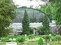 Historisches Palmenhaus