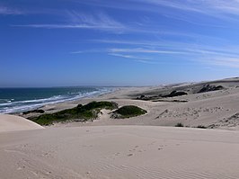 De duinen