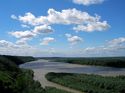 Пойма Оби близ Научного Городка