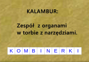 Rozwiązaniem dla części „zespół z organami” jest KOMBI (zespół) oraz NERKI (organy), zaś część „w torbie z narzędziami” odnosi się do całego rozwiązania KOMBINERKI[1].