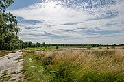 Nationalpark Maasduinen in der Region Limburg