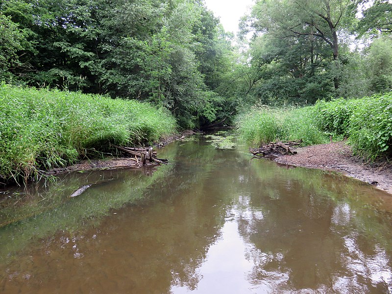 File:Naturschutzgebiet Diekbek Hamburg-Duvenstedt (5b).jpg