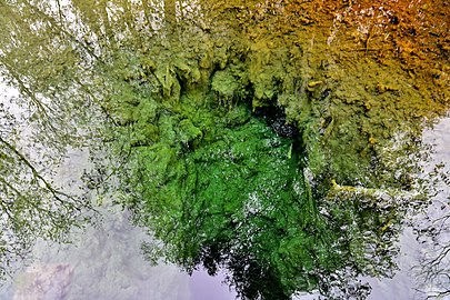 The Mshentsy spring, Bologovsky district, Tver region, Russia