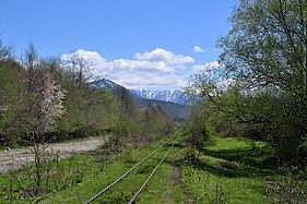 Waldbahn