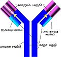 14:02, 2 மே 2014 இலிருந்த பதிப்புக்கான சிறு தோற்றம்