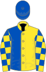 Yellow and royal blue (halved), checked sleeves, royal blue cap