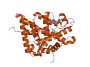 2a3i: Structural and Biochemical Mechanisms for the Specificity of Hormone Binding and Coactivator Assembly by Mineralocorticoid Receptor