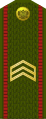 Сяржант Siaržant (Belarusian Ground Forces)[31]