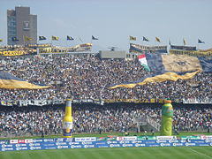 Afición del equipo de fútbol Club Universidad Nacional (los Pumas de la UNAM).