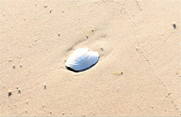 Poland, Ustka_Beach