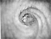 1958年の狩野川台風の目