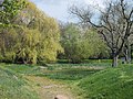 Teich in Nehlitz