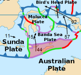 The Timor plate