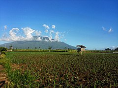 From Naga, Camarines Sur