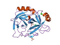 PDB 1oss EBI.jpg