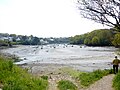 L'Anse de Doëlan à marée basse