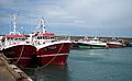 Port de Saint-Guénolé-Penmarch : chalutiers hauturiers à quai