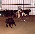 NCHA Non-Pro cutting event.}}