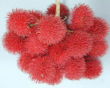 Rambutan Fruit.jpg