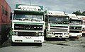 DAF 3300 und DAF 95