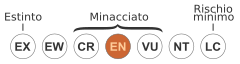 File:Status iucn3.1 EN it.svg