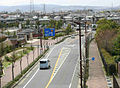 Uji city botanical side road