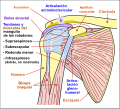 Thumbnail for version as of 23:01, 9 March 2018