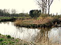 De meanderende Demer (rivier) in Kuringen