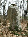 El menhir de la Drouetterie