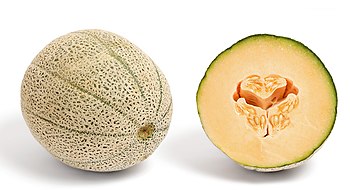 Cantaloupe