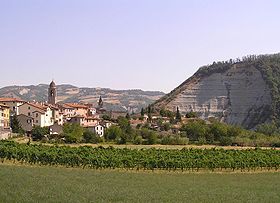 Galeata