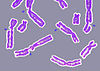 DNA damage resulting in multiple broken chromosomes