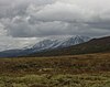 Alpska tundra