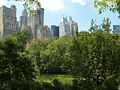 Lower Central Park