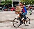 * Nomination Man carrying boxes on a bicycle --The Photographer 01:09, 23 March 2013 (UTC) * Promotion Good quality. --Poco a poco 09:16, 23 March 2013 (UTC)