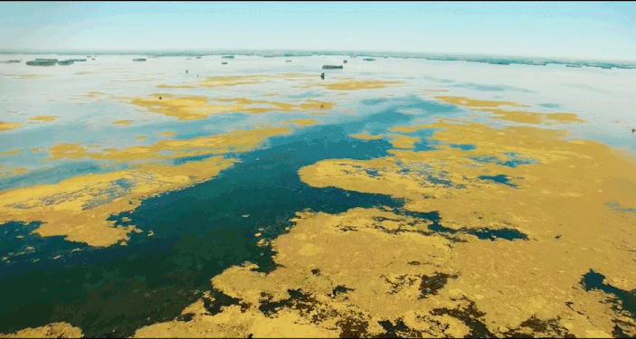 Ahwar (Marshes) of Maysan Province Photograph: Aloosh.c