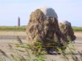 Typische Landschaft bei Ouddorp mit Leuchtturm und Gras zum Trocknen