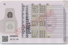 Norway driving licence back (2022)