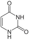 Chemical structure of uracil