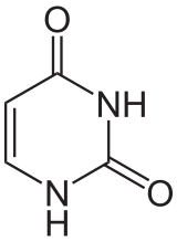 Image illustrative de l’article Uracile