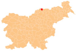 Location of the Municipality of Muta in Slovenia