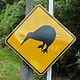 New Zealand: kiwi crossing.