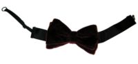 A pre-tied bow tie