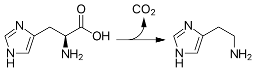 Decarboxylering van histidine tot histamine