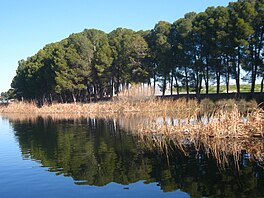 A body of water surrounded by trees.