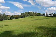 Parque do Carmo Sao Paulo.JPG